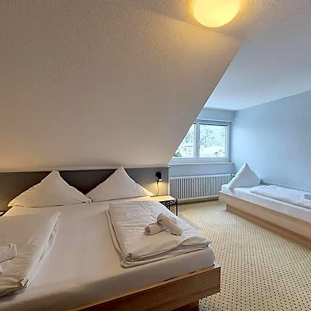 Schachener Hof Otel 3*