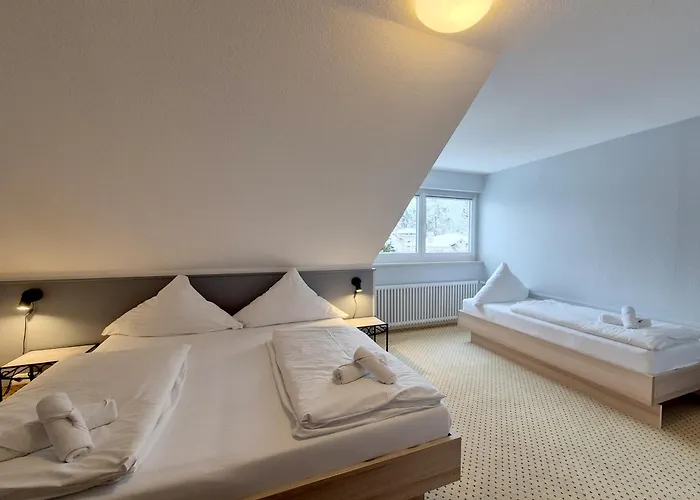 Cafe Schachener Hof Bodensee Hotel 3*