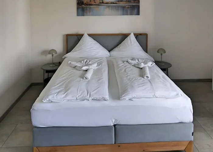 Hotel Cafe Schachener Hof Bodensee 3*